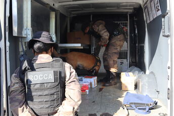 Cães farejadores da Rocca auxiliam PM´s a encontrar drogas em veículos