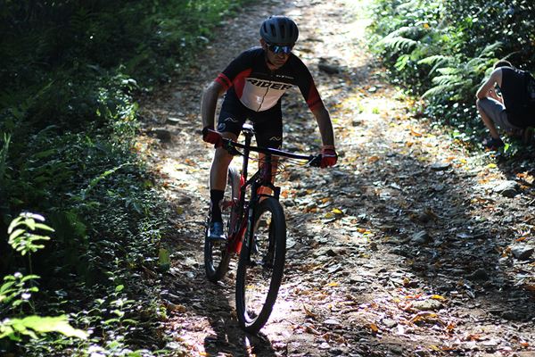 Imagem de um ciclista que pratica Montain Bike que desce um local na mata